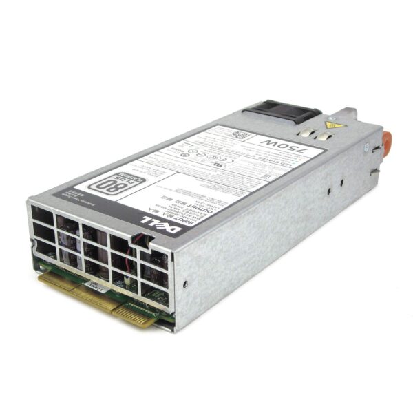 Dell 750W Platinum Power Supply R520 R620 R720/xd R820 0N30P9 N30P9 06W2PW 6W2PW (Renewed)